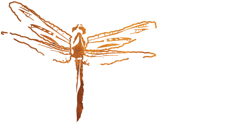 Dragonfly Event Designs